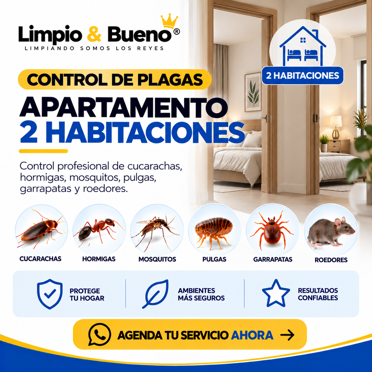 Control de Plagas_ 2 Habitaciones